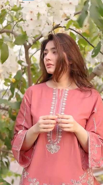 🌸 Rosy Elegance Embroidered 2-Piece Suit